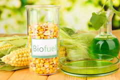 Netherthird biofuel availability